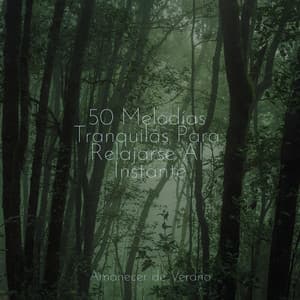 50 Melodías Tranquilas Para Relajarse Al Instante - Musica Para Dormir y Sonidos de la Naturaleza