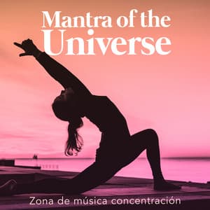 Mantra of the Universe - Zona de música concentración