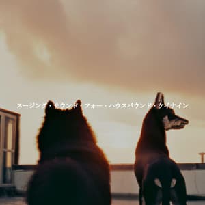 スージング・サウンド・フォー・ハウスバウンド・ケイナイン - Saturday Morning Playlist