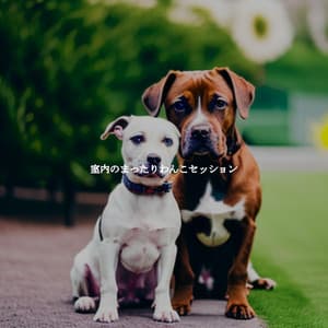 室内のまったりわんこセッション - French Cafe Jazz Chill