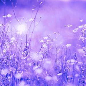 Extraordinary Ambiance for Fresh Vibes - Piano Lounge Smooth Jazz