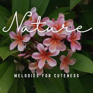 Baby's World of Harmony: Melodies for Cuteness - Baby Senses