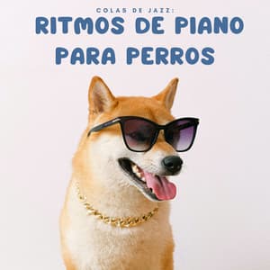 Colas De Jazz: Ritmos De Piano Para Perros - Adoración Música Piano