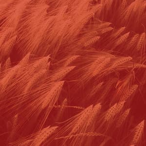 Music for Taking Notes - Musique pour Travailler Classiques