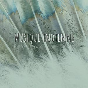 Musique indienne - Flûte de pan pour détente - American Native