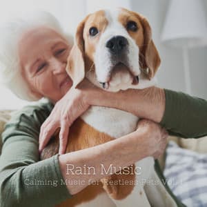 Rain Music: Calming Music for Restless Pets Vol. 1 - Essential Nature Sounds