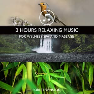 3 Hours Relaxing Music for Welness Spa and Massage: 50 Nature Sounds - Forest Winston