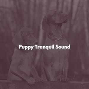 Puppy Tranquil Sound - Musica para Estudiar