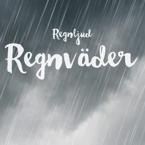 Regnväder - Regnljud