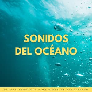 Sonidos Del Océano: Playas Perrunas Y Un Blues De Relajación - Misterios del océano