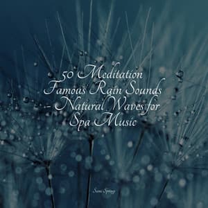50 Meditation Famous Rain Sounds - Natural Waves for Spa Music - Deep Sleep FX