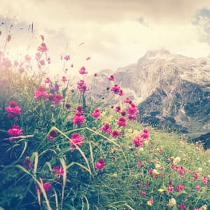 Spring - Uyku Müzik