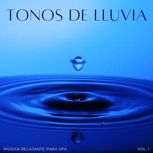 Tonos De Lluvia: Música Relajante Para Spa Vol. 1 - Lluvia PQ