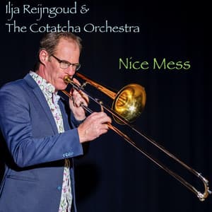 Nice Mess - Ilja Reijngoud