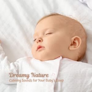 Dreamy Nature: Calming Sounds for Your Baby's Sleep - The Nature Soundscapes