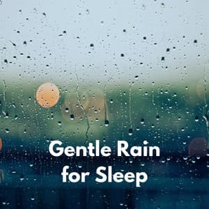 Gentle Rain for Sleep - ASMRainy