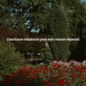 Canciones relajantes para este verano especial - Happy Jazz Beats