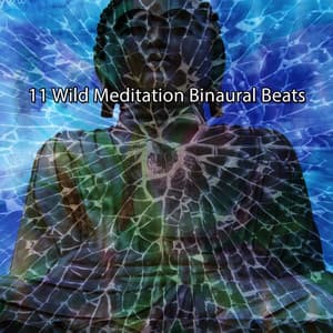 11 Wild Meditation Binaural Beats - Binaural