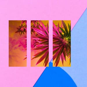 Backdrop for Coffee Relief - Java Jazz Cafe