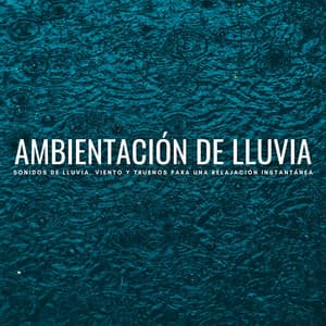 Ambientación De Lluvia: Sonidos De Lluvia, Viento Y Truenos Para Una Relajación Instantánea - Registradores de lluvia