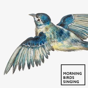 Morning Birds Singing: Soothing Nature Sounds - Calm Singing Birds Zone