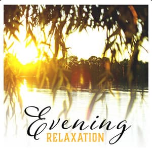 Evening Relaxation - Prepare Your Body & Mind to Sleep - Good Night Unit