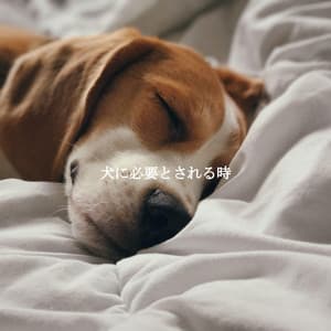 犬に必要とされる時 - Early Morning Jazz Playlist