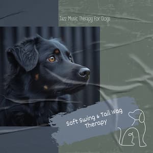 Soft Swing & Tail Wag Therapy - Jazz Music Therapy for Dogs
