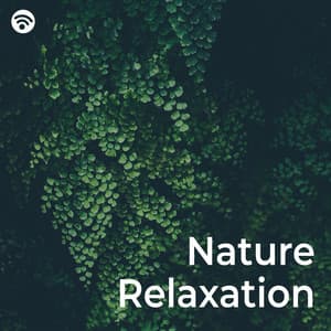 Nature Relaxation - Natural Sound Selections