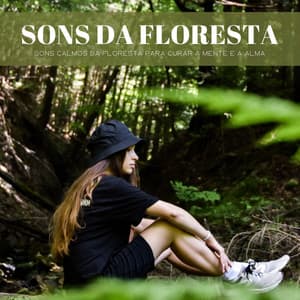 Sons Da Floresta: Sons Calmos Da Floresta Para Curar A Mente E A Alma - Balneario