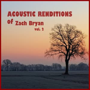 Acoustic Renditions of Zach Bryan, Vol. 2 - Guitar Tribute Players