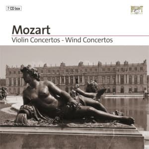 Violin Concertos - Wind Concertos Part: 4 - Netherlands Chamber Orchestra