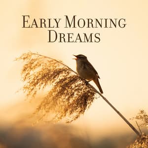 Early Morning Dreams: Correct the Sleep Schedule, 423 Hz Manifestation of the Harmony, Love and Peace - Alisa Woody