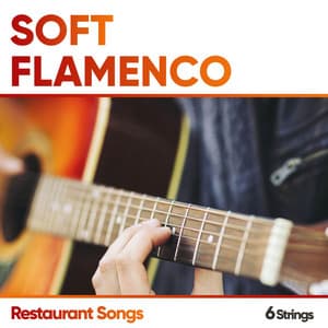 Soft Flamenco Restaurant Songs - Spanish Guitar Lounge Music