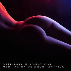 Despierta mis sentidos: Meditación de amor tántrico, música sensual colección - Zona de Música Erótica