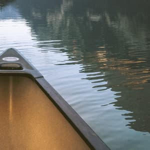 1 Night With White Noise: Respite - Focus Noise