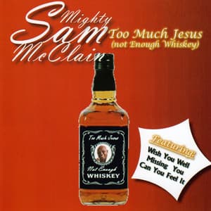 Too Much Jesus - Mighty Sam McClain
