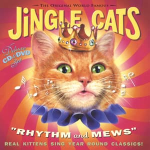 Rhythm and Mews - Jingle Cats