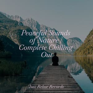 Peaceful Sounds of Nature | Complete Chilling Out - Nature Sound Collection