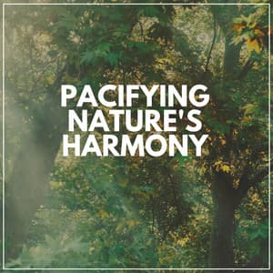 Pacifying Nature's Harmony - Natures Orchestra