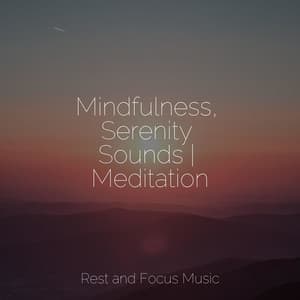 Mindfulness, Serenity Sounds | Meditation - Deep Focus