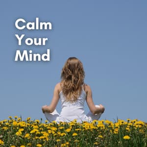 Calm Your Mind - Calm Music Zone