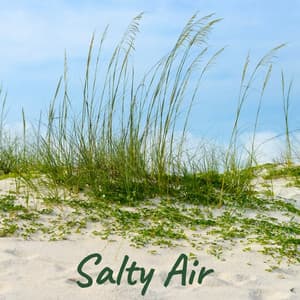 Salty Air - Red Hot Viper