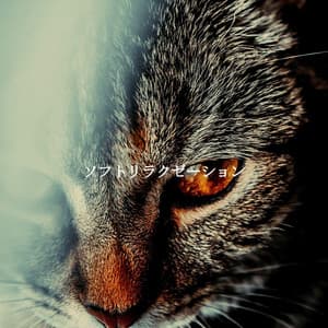 ソフトリラクゼーション - Musica di Sottofondo Jazz