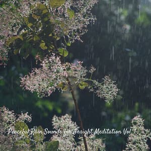 Peaceful Rain Sounds for Insight Meditation Vol. 1 - Rain Sound Experience