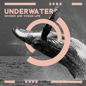 Underwater Sounds and Ocean Life: Whales Sounds Therapy for Better Sleep, Focus and Stress Healing - Healing Ocean Waves Zone