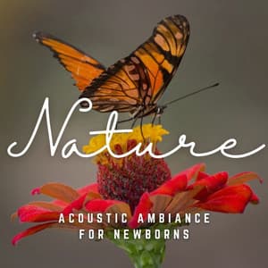 Tiny Miracles: Acoustic Ambiance for Newborns - Paz Sounds