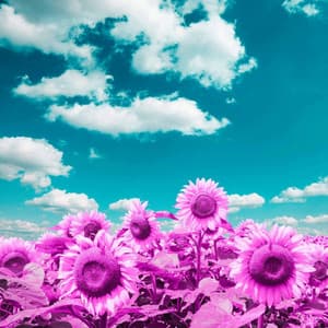 Retro Ambiance for Focusing Tales - Dinner Party Jazz Radio