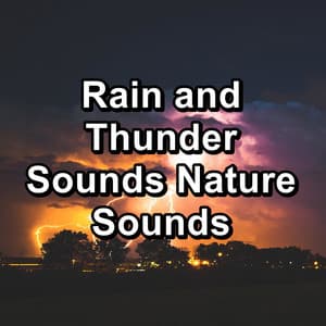 Rain and Thunder Sounds Nature Sounds - Thunder and Rain Storm