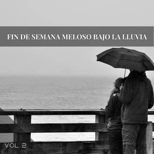Fin De Semana Meloso Bajo La Lluvia Vol. 2 - Musica Para Estudiar Academy
